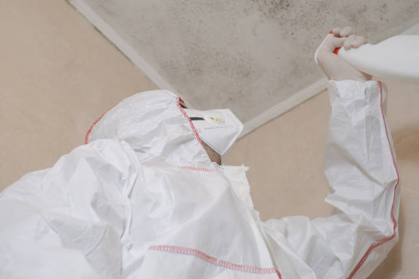 Best Crawl Space Mold Removal  in Sunriver, OR