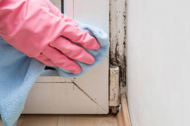 Best Mold Removal Process  in Sunriver, OR